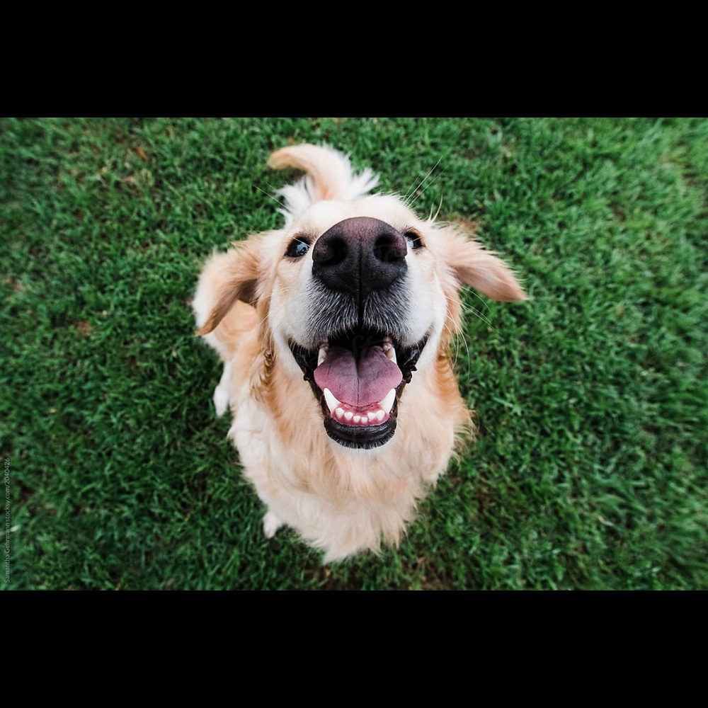 Meet your Posher, Esteban